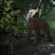 Artist’s reconstruction of Carsioptychus coarctatus, a plant-eating mammal that lived around 300,000 years after the mass extinction that wiped out the non-avian dinosaurs.